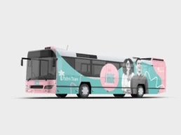 Palm Tran Transit Branding
